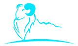 (y)